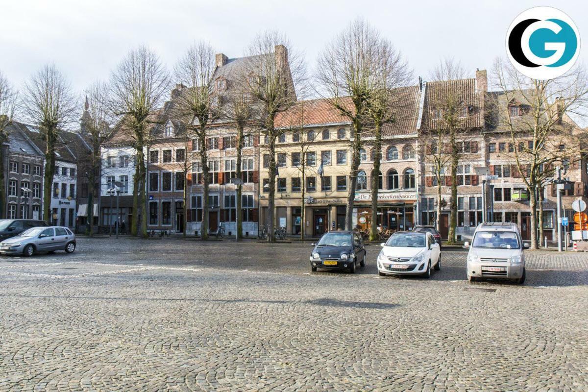Villa Mooi Maasland Maaseik Exteriör bild